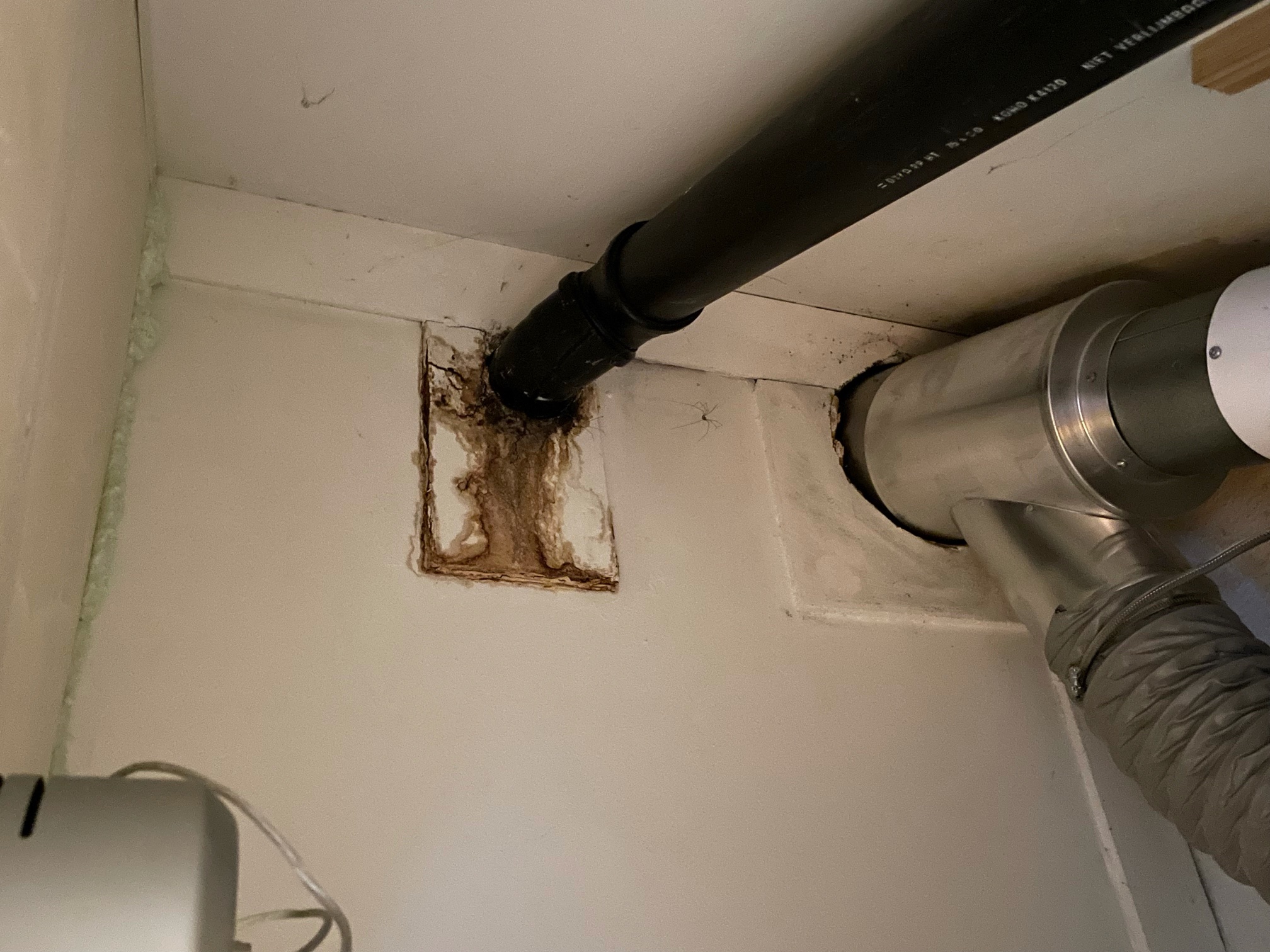 lekkage dak Voorburg